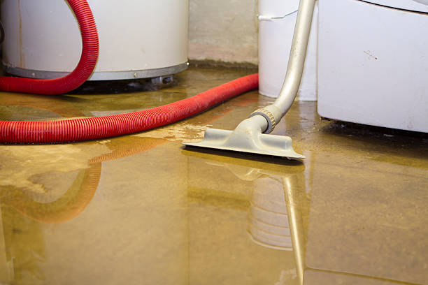 Trusted Water Damage Restoration in Folsom, PA | Fast, Reliable, and Ready to Assist You